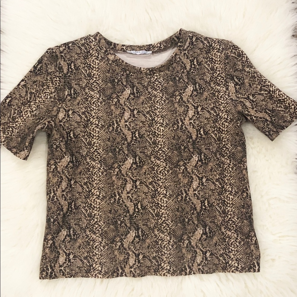 Zara Snake Print Knit Top